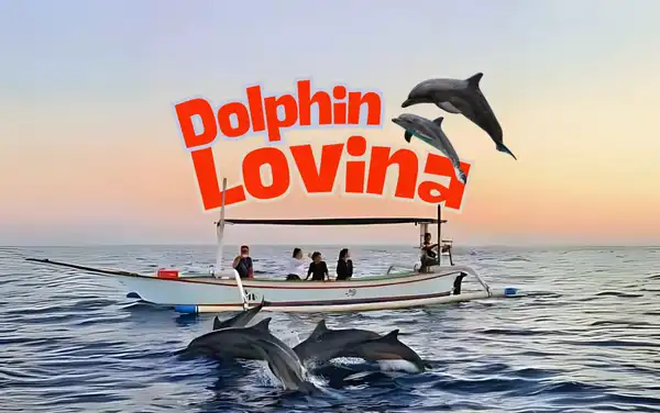 Lovina Dolphin Experience